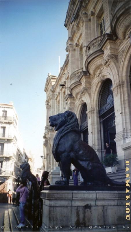 ORAN 10 2005 090 LA MAIRIE ET UN DES LIONS PLUS BEAUX QUE CEUX DE PARIS.jpg
